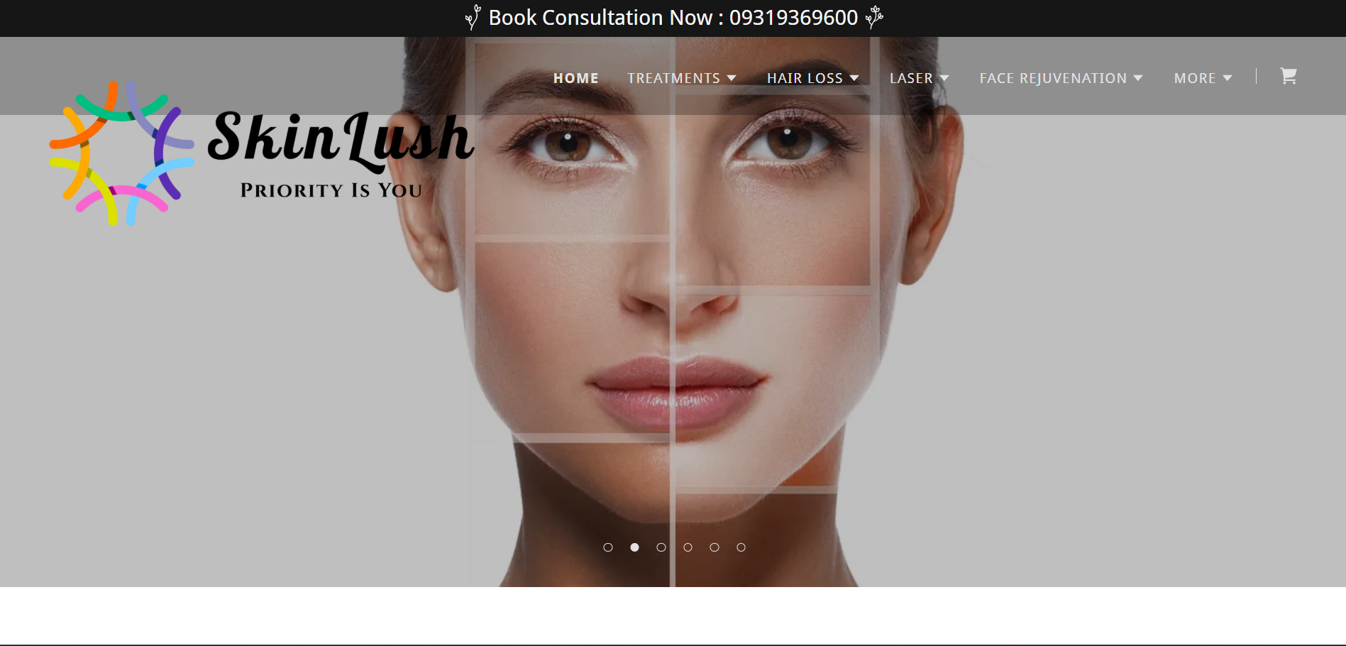 skinlush WordPress preview